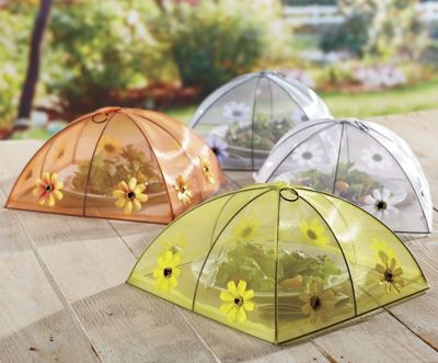 Domed Food Tent