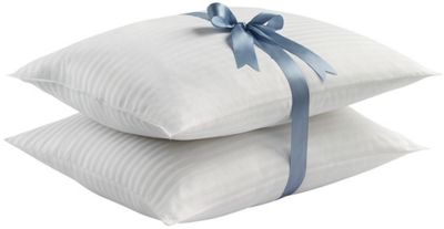 Set Of 2 Sensorpedic Memory Loft Pillows
