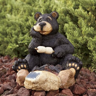 solar bear