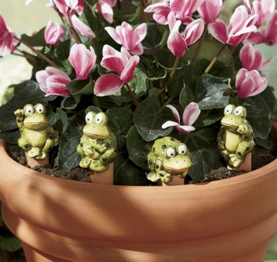 set of 4 watering frogs