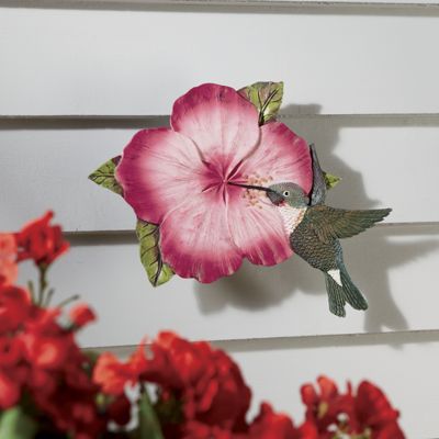hummingbird wireless thermometer