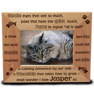 Gentle Kitty Frame