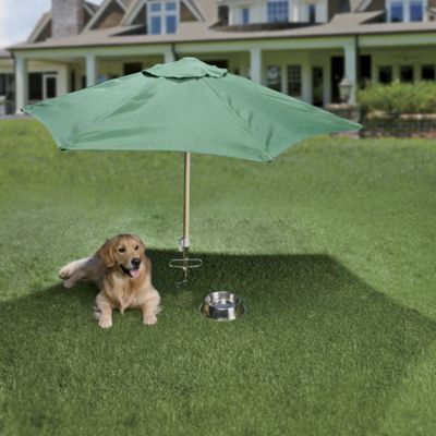 Petbrella