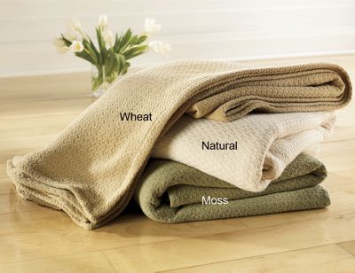 Organic Cotton Blanket
