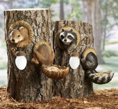 Raccoon Solar Feeder