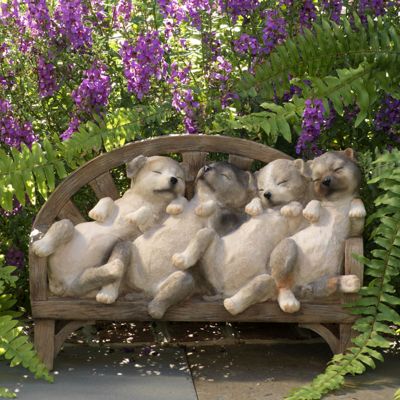 Adorable Naptime Puppies