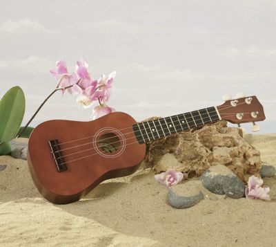 Ukulele Pack
