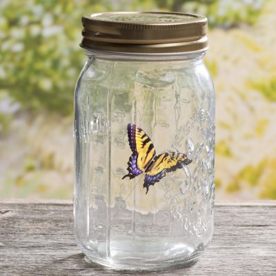 Flutter Butterfly