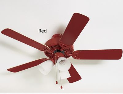 Reversible Blades Ceiling Fan