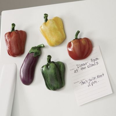 5 piece Get your veggies Assorted Magnet Set