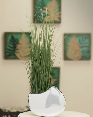 Onion Grass In Vase