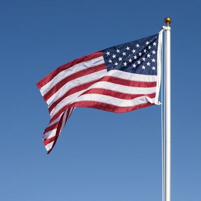 15 foot Pole And Flag Set