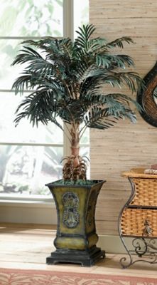 Cycas Palm In Planter