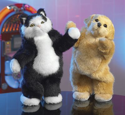Dancing Pets
