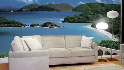 Cinnamon Bay Wall Mural