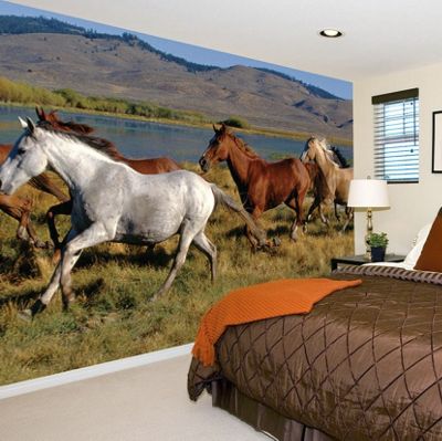 Wild Horses Wall Mural
