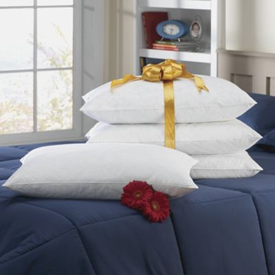 4-Piece Natural Feather/Down Pillow Set
