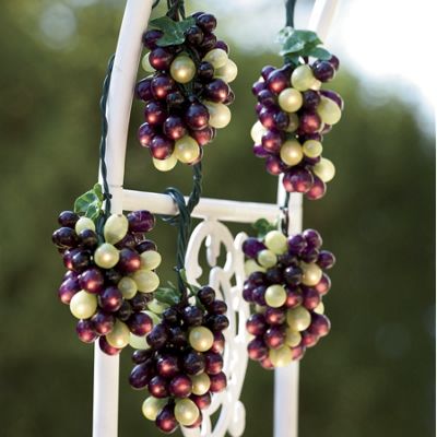 Trailing Grapes String Of Lights
