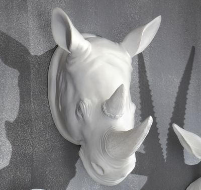 Rhino Head