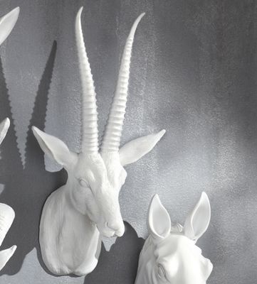 Gazelle Head