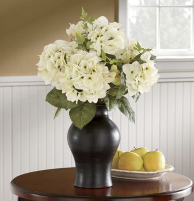Hydrangea Belle Meade
