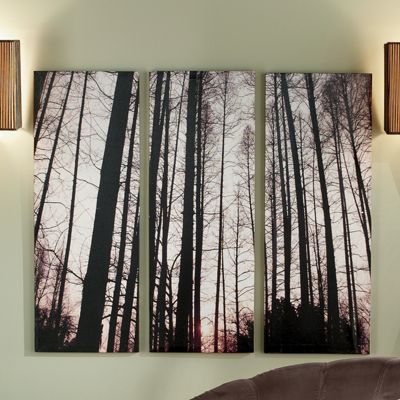 3 Piece Tree Canvas Set