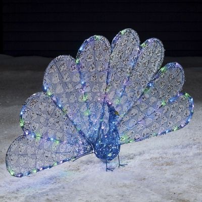 Dazzling Lighted Peacock