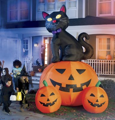 12 pies de gato negro con calabazas de 3