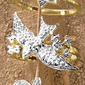 Bird Ring