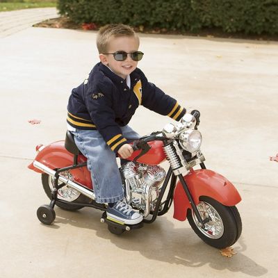 Warrior Motorcycle