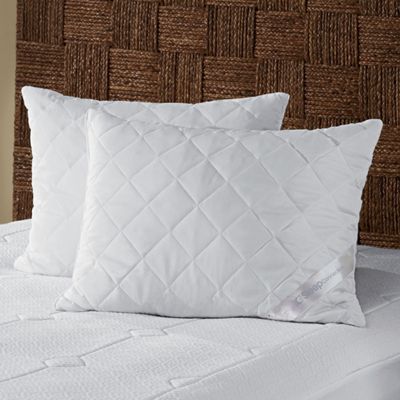 Sleep Connection 2 pack Memory Foam Cluster Pillows By Montgomery Ward