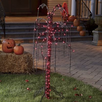Black Willow Tree With Lights
