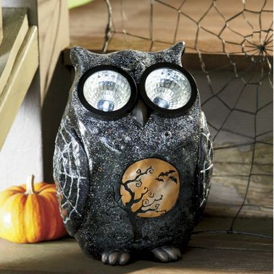 Solar Owl