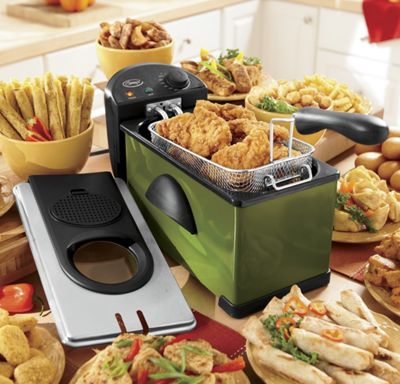 Ginnys Brand Deep Fryer And Replacement Filters