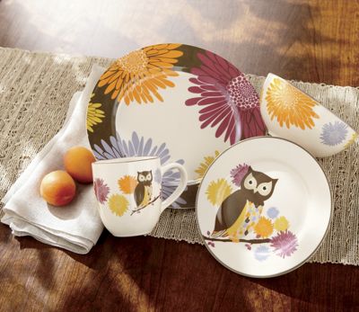 16 pc Hoot n nanny Owl Dinnerware