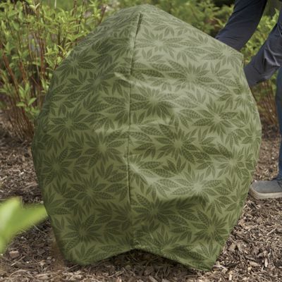 Shrubjackets