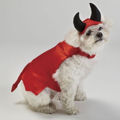 Pet Halloween Costumes
