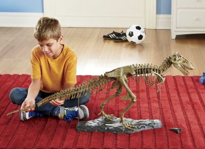 T rex 3 d Puzzle