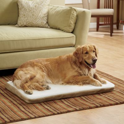 Large Heated Dog Bed