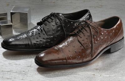 Amori Shoe By Stacy Adams