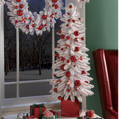 Peppermint Tree
