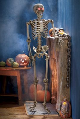Lifesize Peeper Skeleton