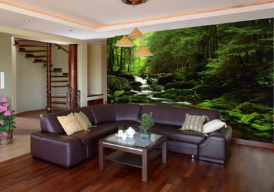 Kent Falls Wall Mural