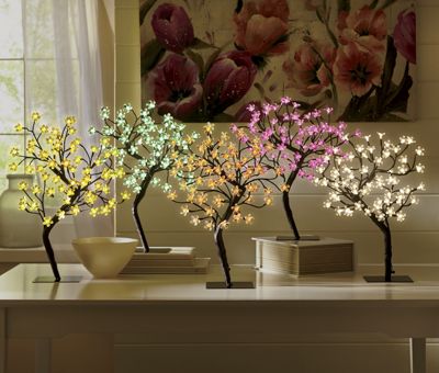Encendido del cerezo