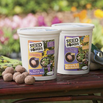 instant flower garden seed bombs