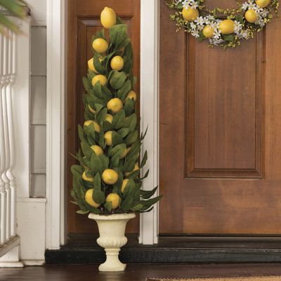 lemon topiary