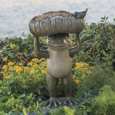 frog birdfeeder