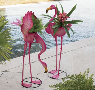 plantador de Flamingo