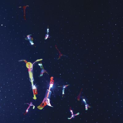 set of 12 fireflies