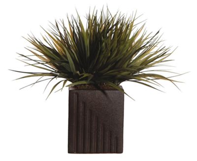 Grass Rectangle